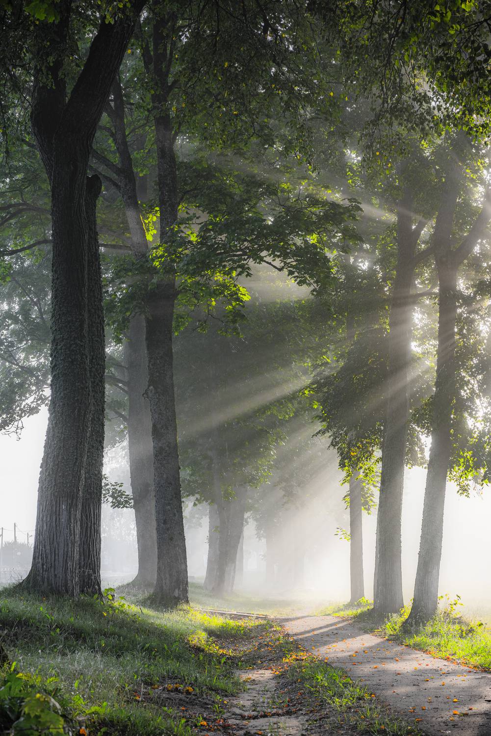 , Руслан Авдевич