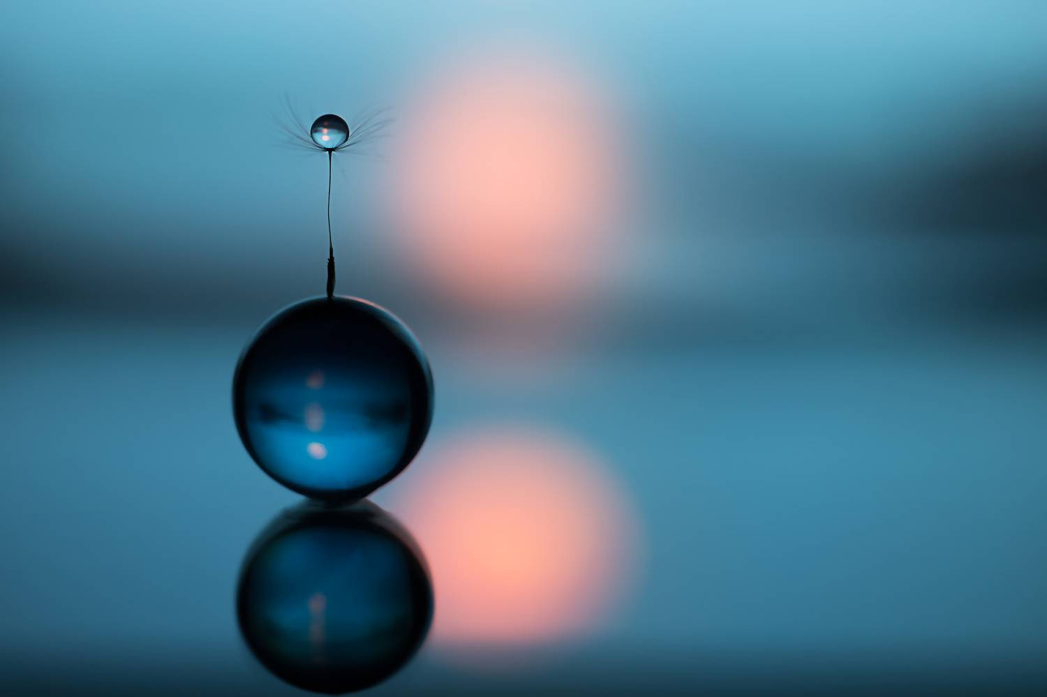 макро, арт, капли, macro, drops, artphoto, canonphoto, Обидина Мария