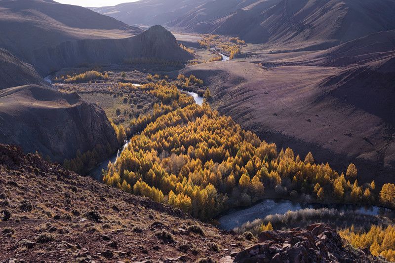 кокоря, алтай, осень Кокоря фото превью