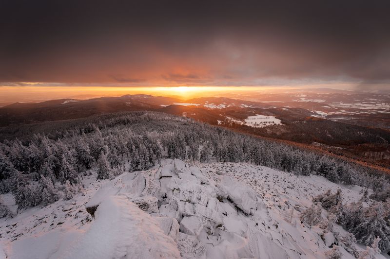 Final light фото превью