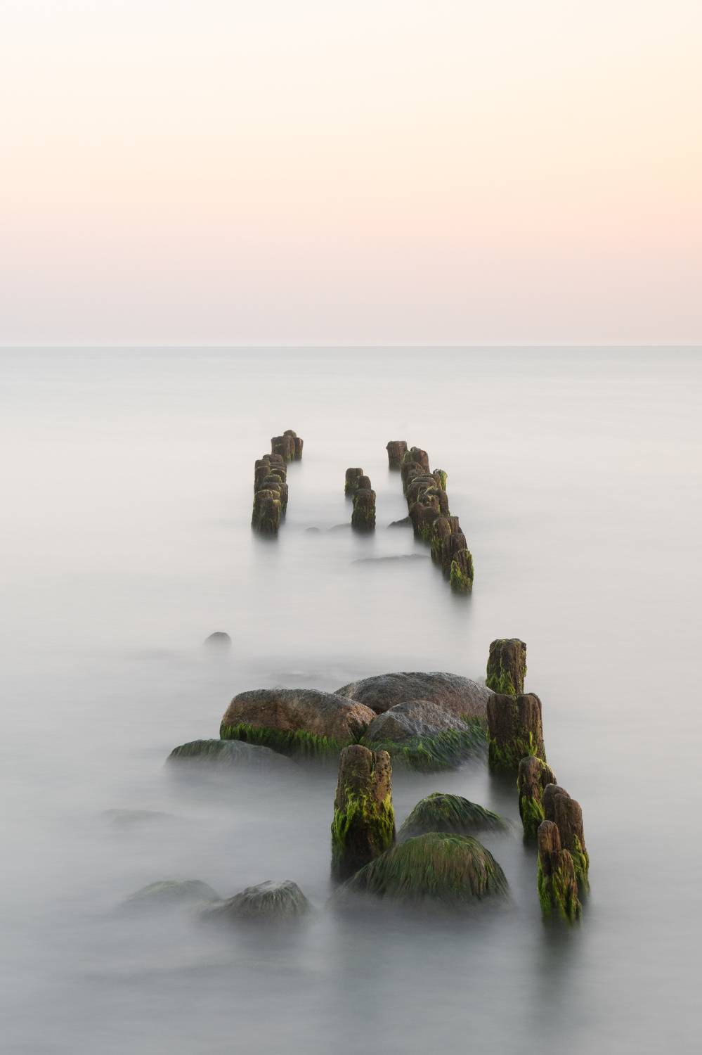 , Карамышева Дарья