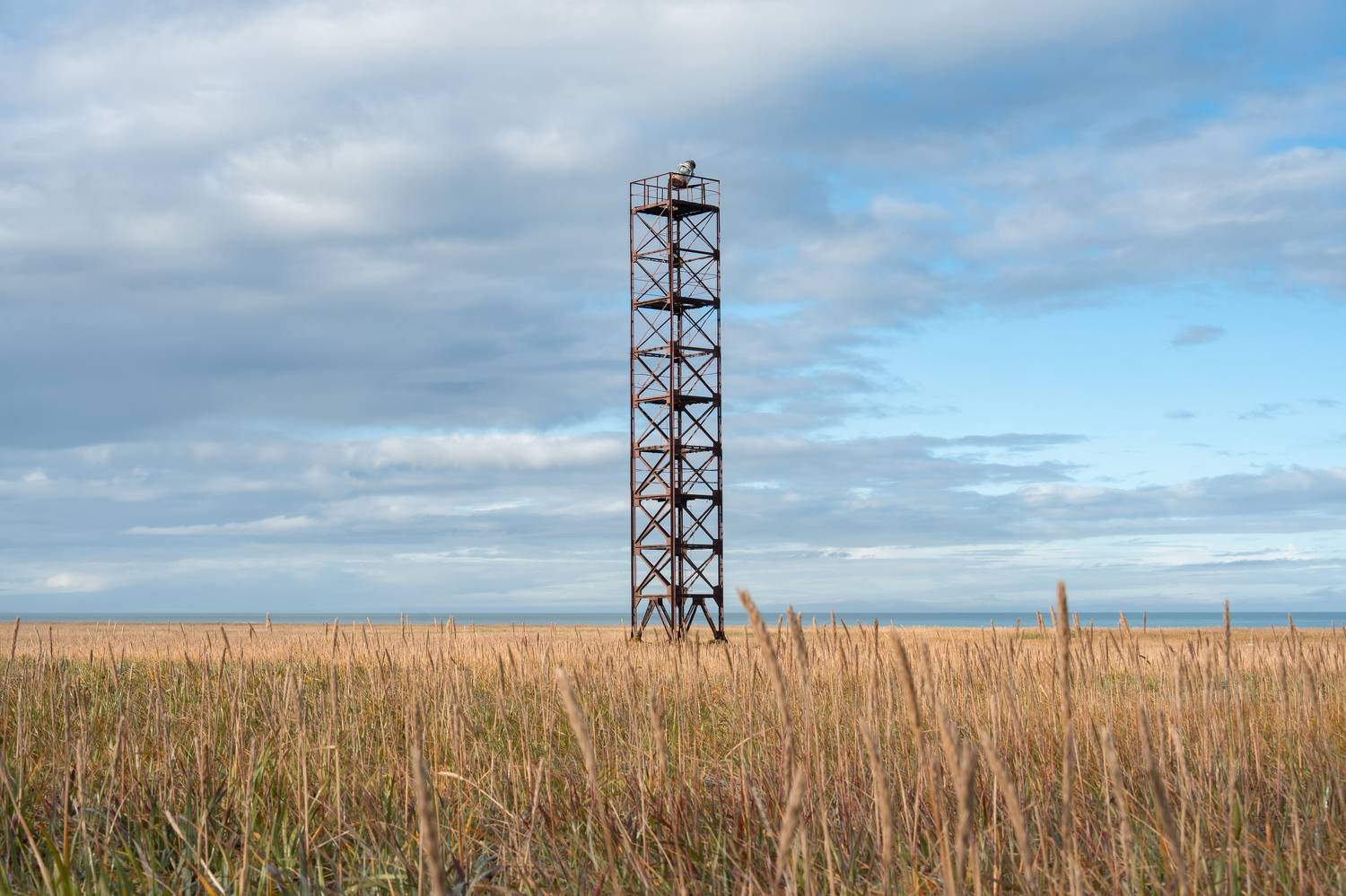 , Андрей Гусаров