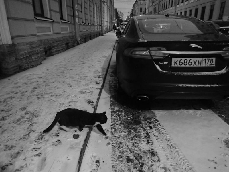 *9/ фото превью