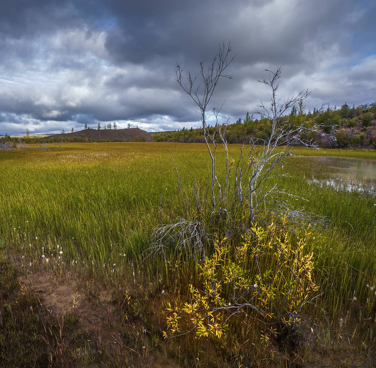 , Андреев Николай