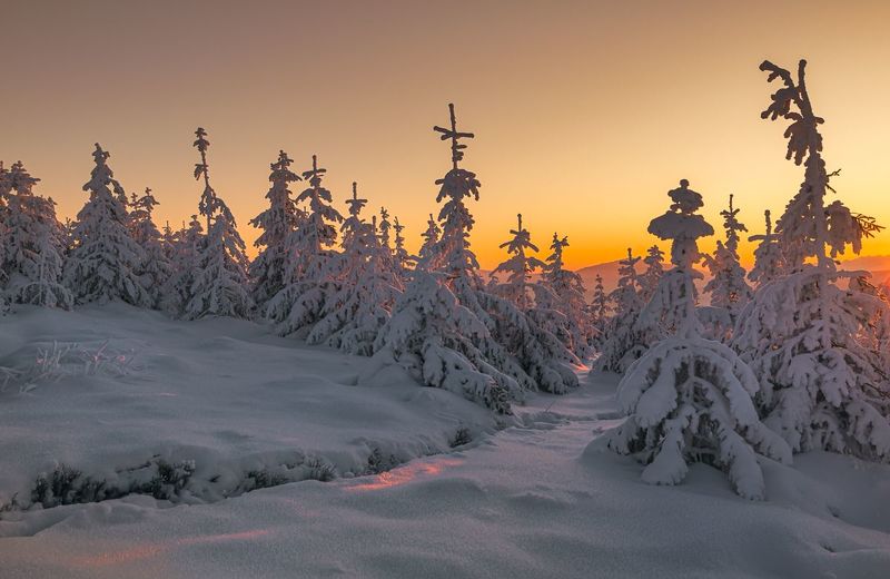 Zimowy poranek фото превью