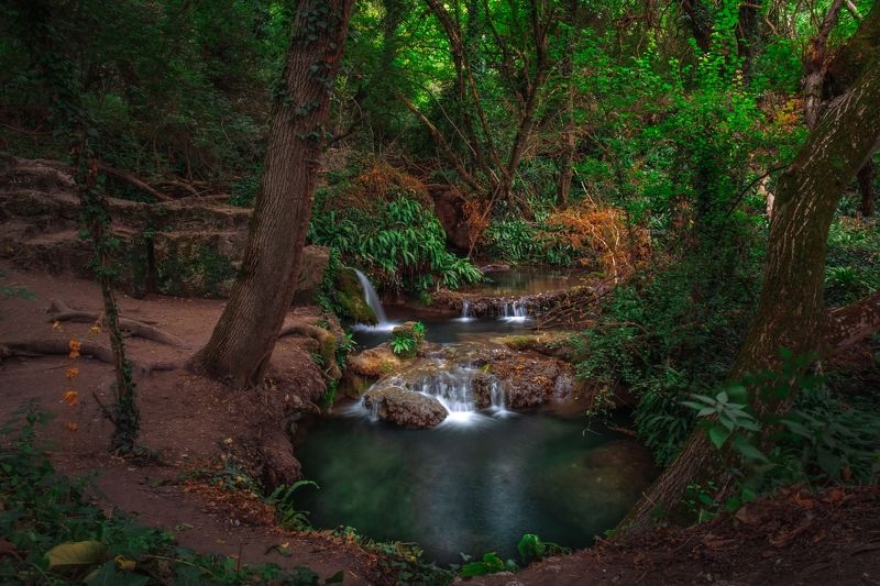green,light,dark,travel,nature,tree,bulgaria Green фото превью