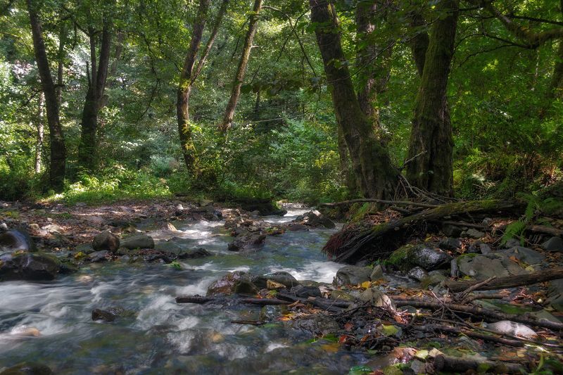 У реки . фото превью