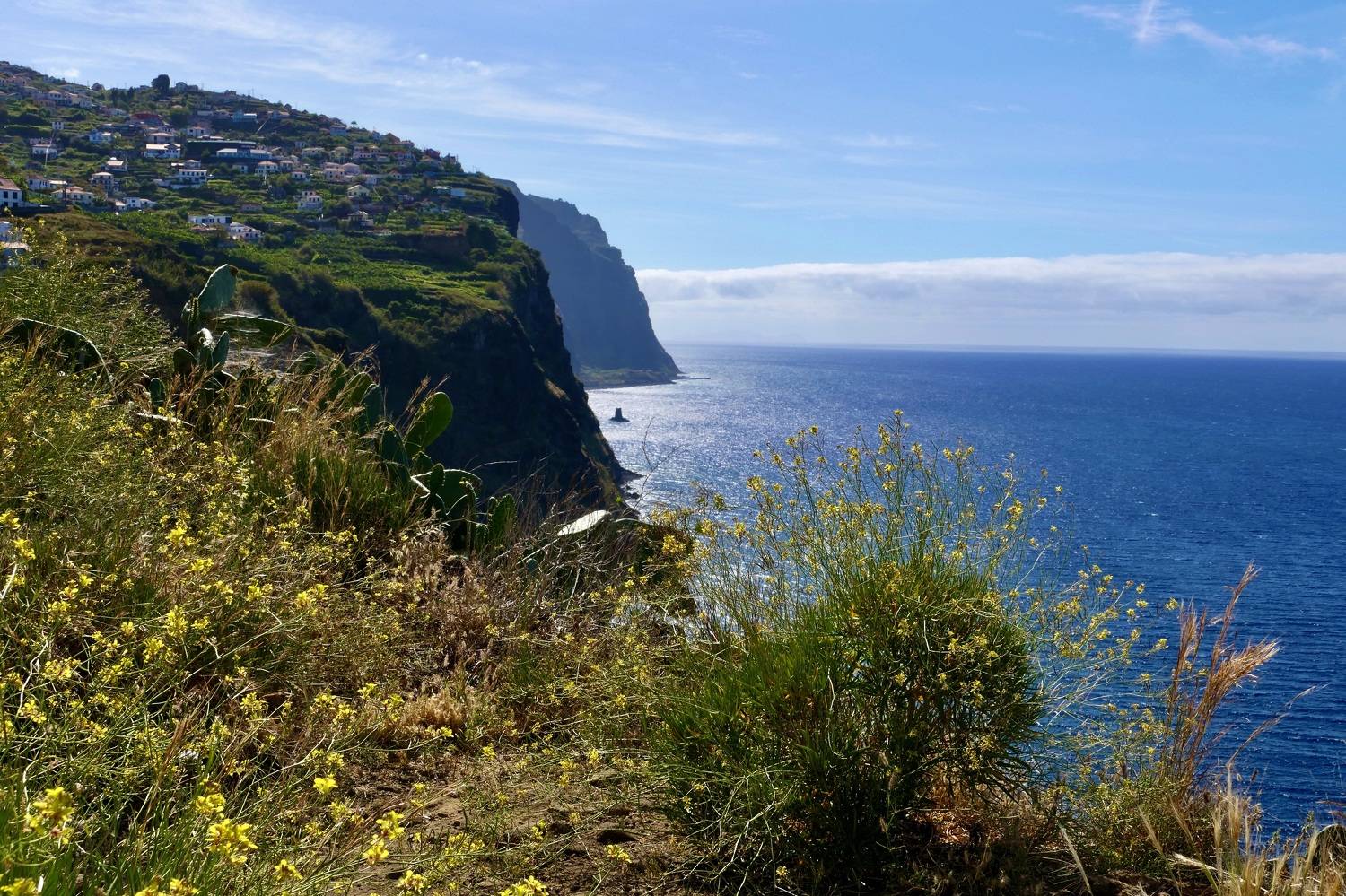 Landscapes, Madeira, Coast, Sea, Mountain, Мадейра, Travel, , Svetlana Povarova Ree