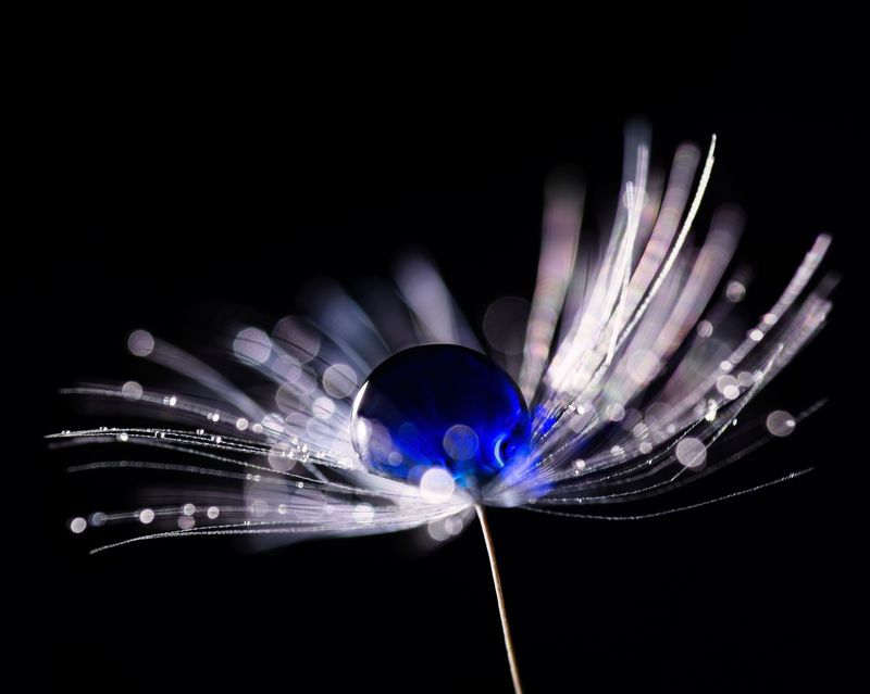 Голубая планета фото превью