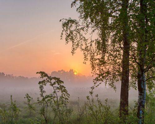 Туманный восход