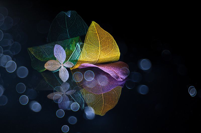 Самозабвенно фото превью