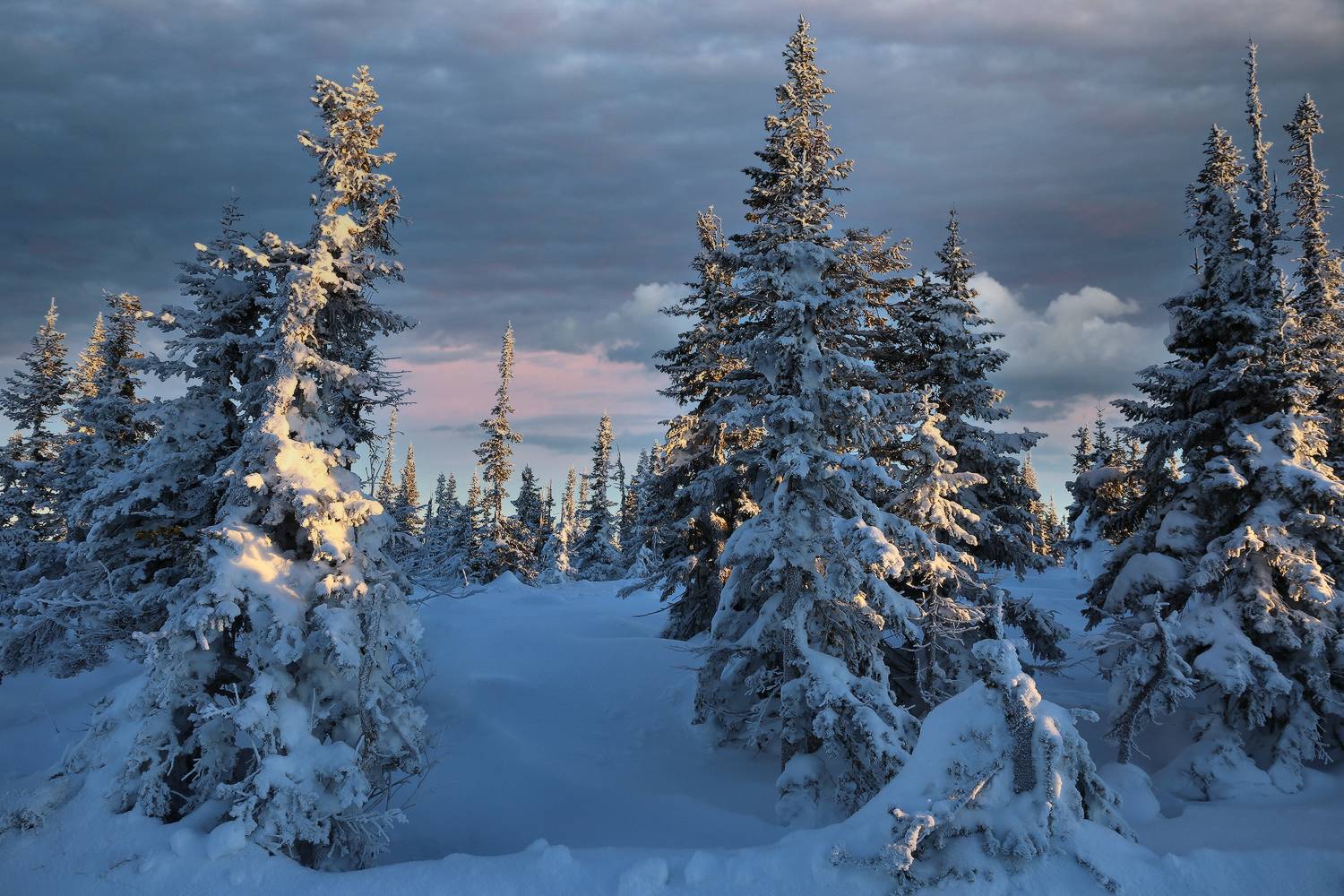 сибирь, кузбасс, горная шория, шерегеш, Галина Хвостенко