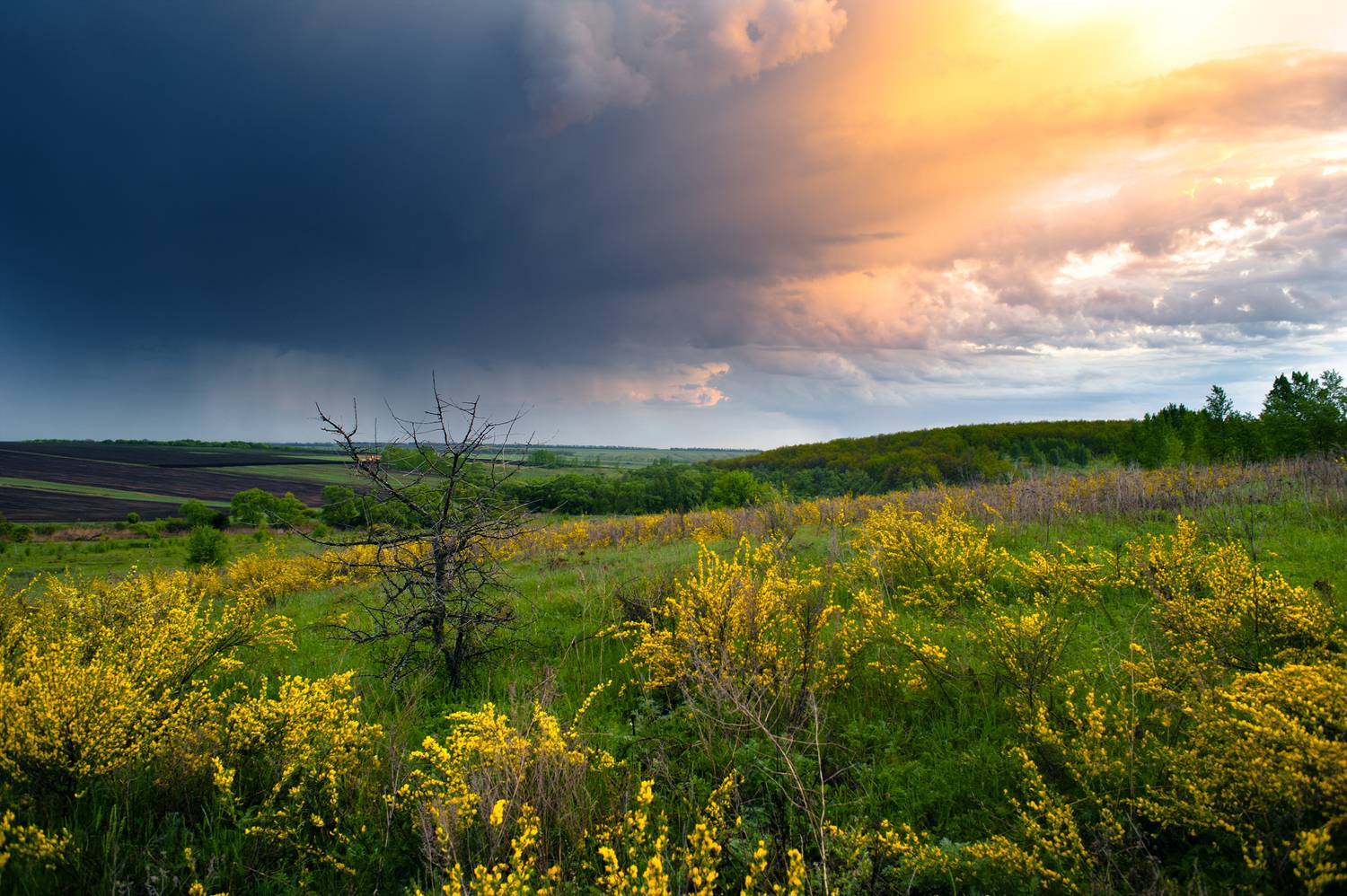 , Рукин Иван