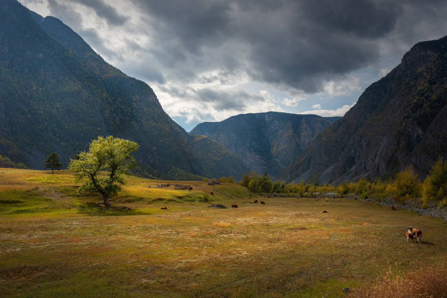 , Рустем Диков