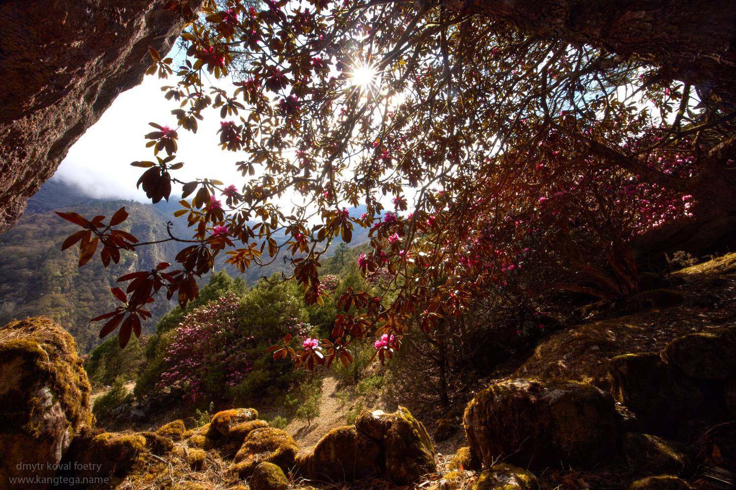 пейзажемагьё, пейзаж-как-виденье, Коваль Дмитр