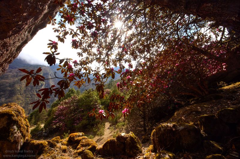 пейзажемагьё, пейзаж-как-виденье В пещере светочных занавесей … фото превью