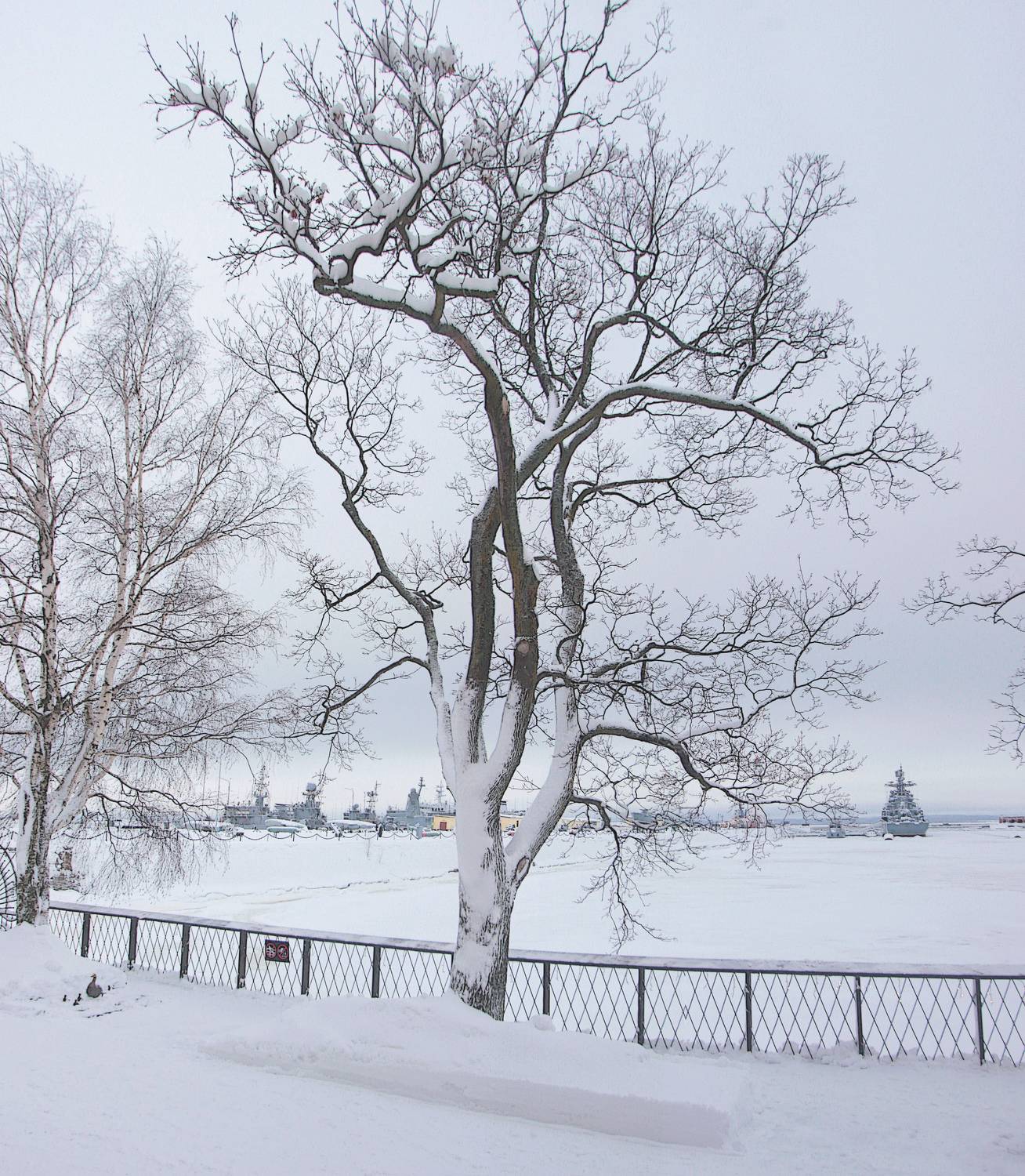 , Сергей Григорьев