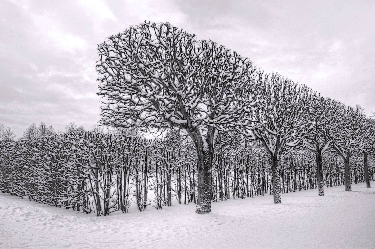 , Сергей Григорьев