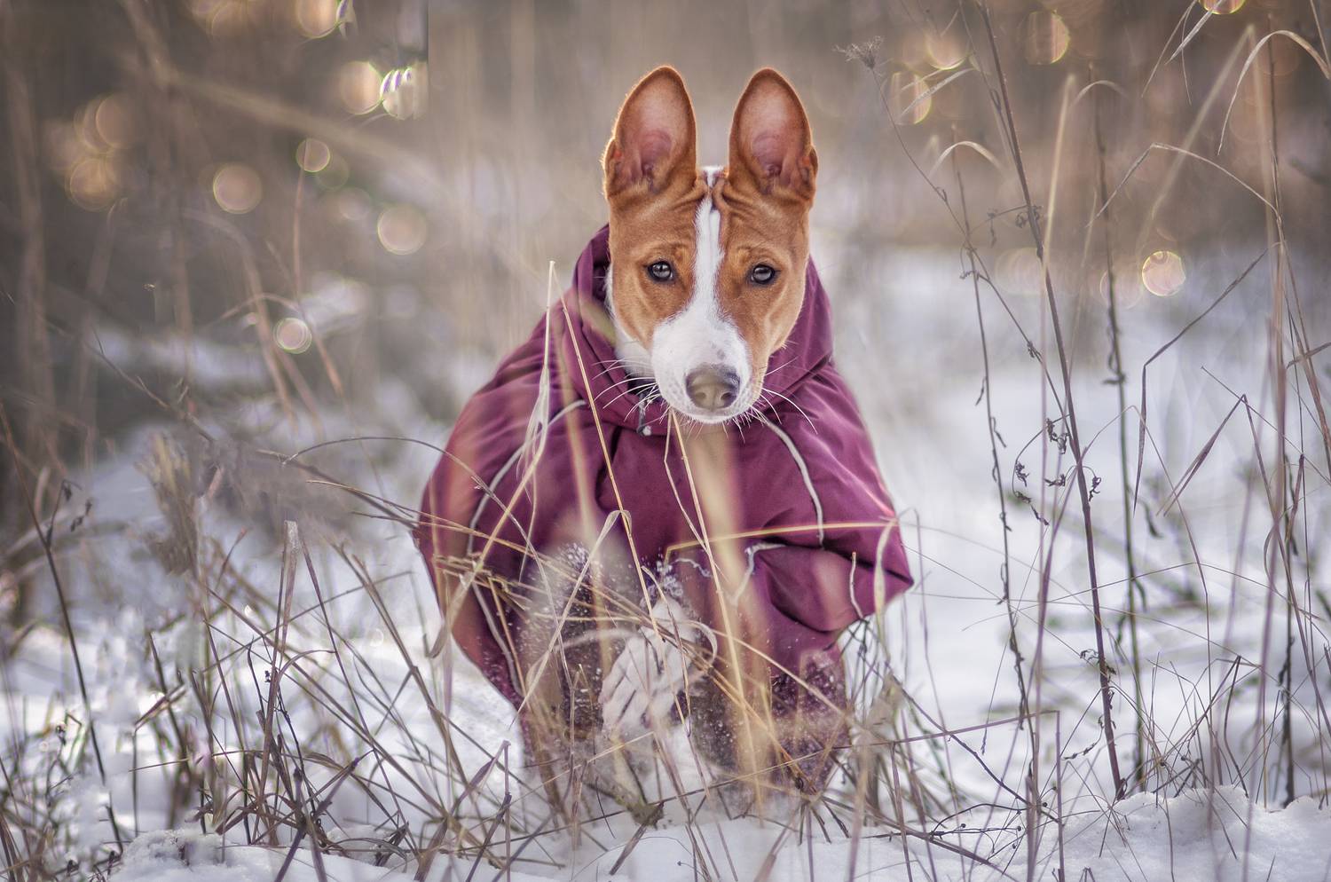 , Яна Кудлай