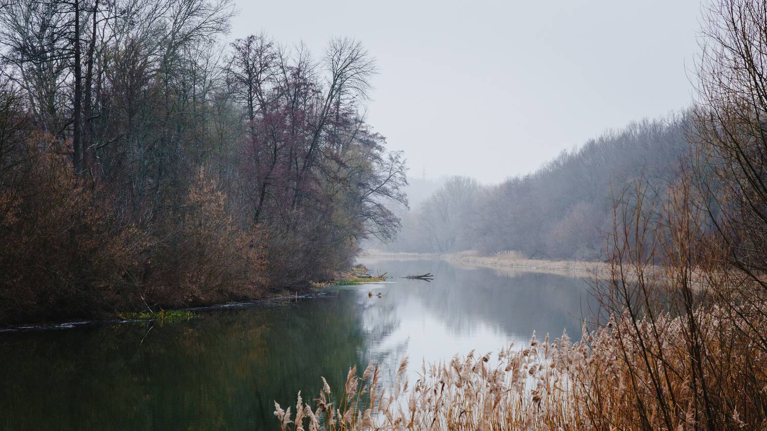 , Вертиков Юрий