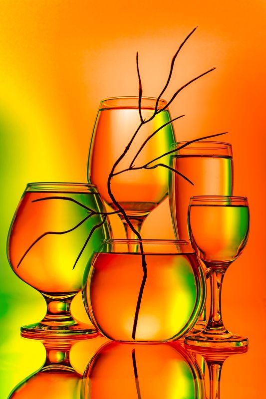 Вино, шампанское, посуда для напитков, барная посуда, бокал, для напитков, бокалы, тара, для коктейлей, жидкость, бокал для вина, искусство, группа бокалов с жидкостью в них. Бокалы и ветка. фото превью