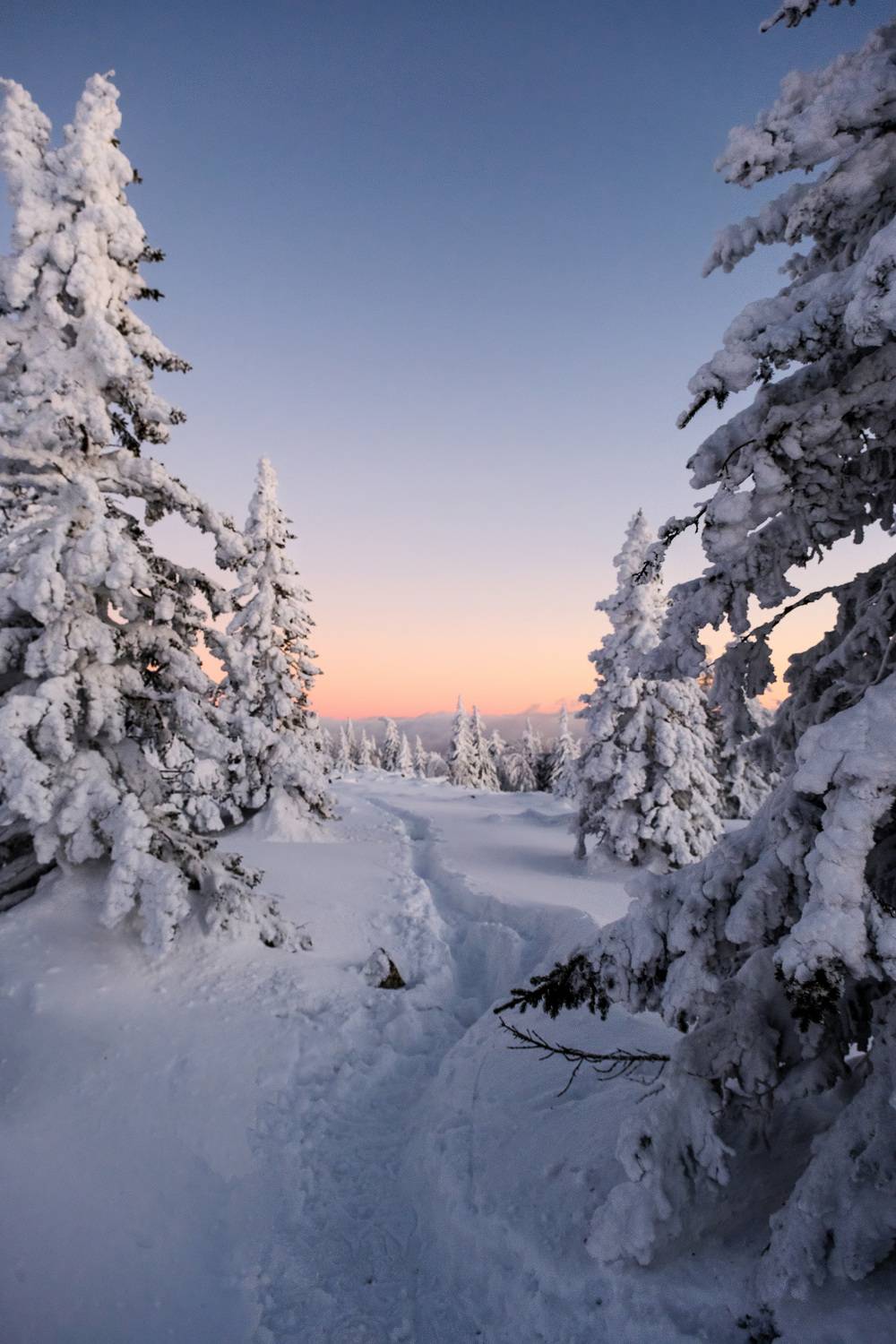 , Бодрягин Виталий