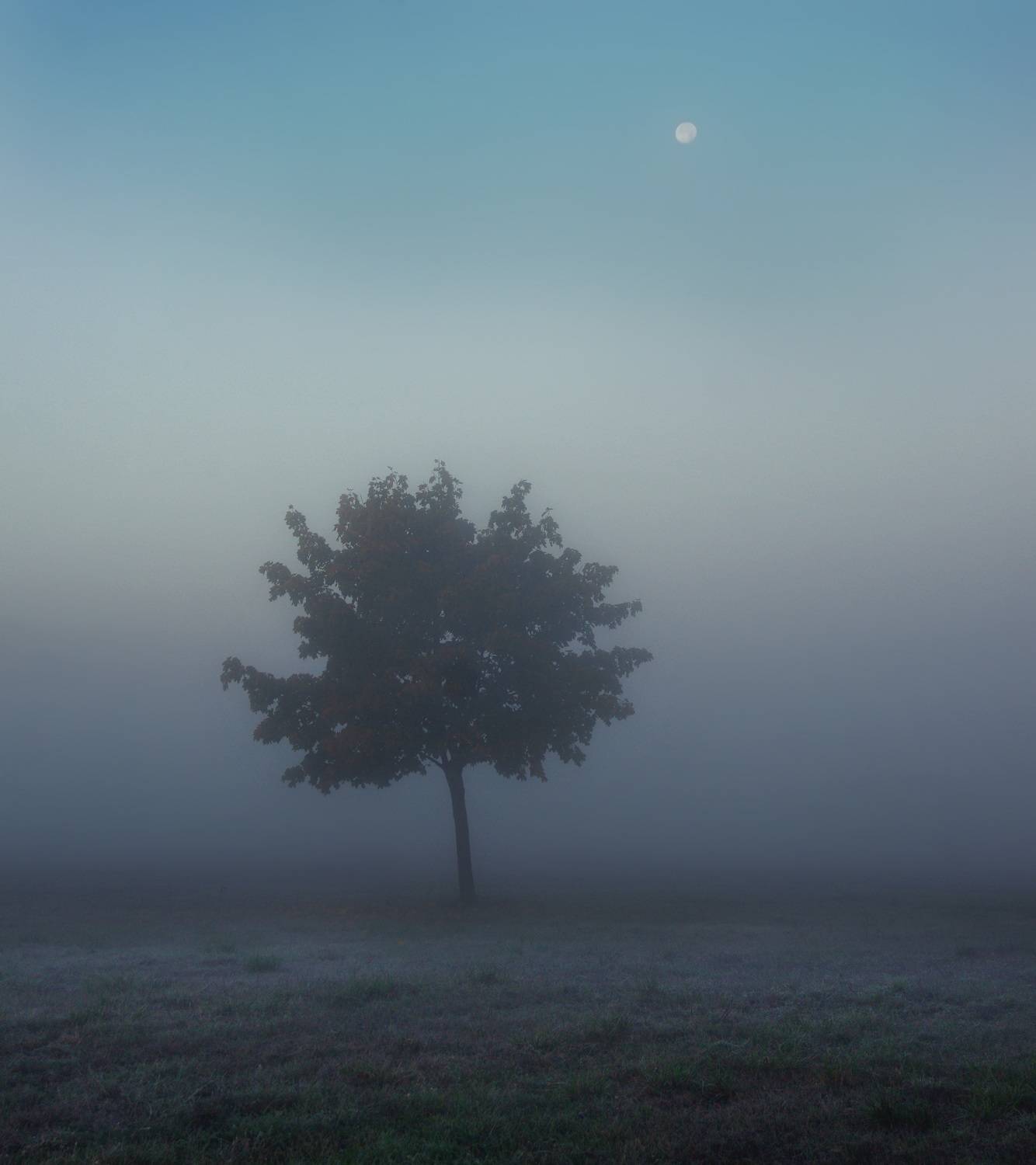 , Шляга Сергей