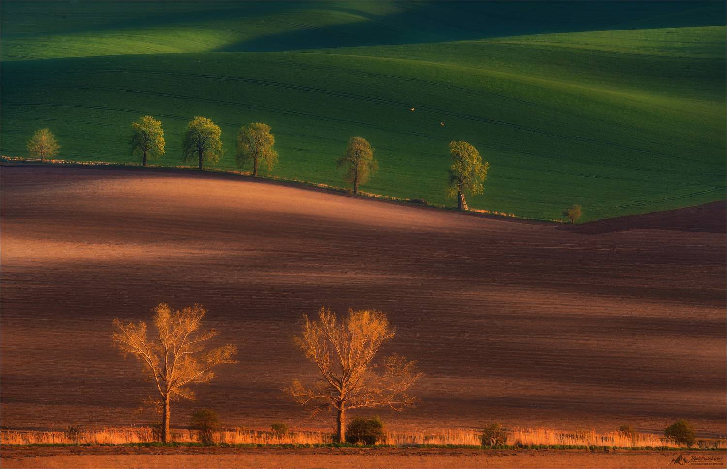 чехия, южная моравия, линии, свет, czech, south moravia, фототур, фототуры, Влад Соколовский