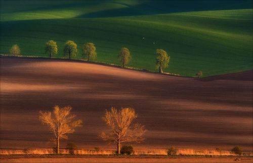 Грани цвета