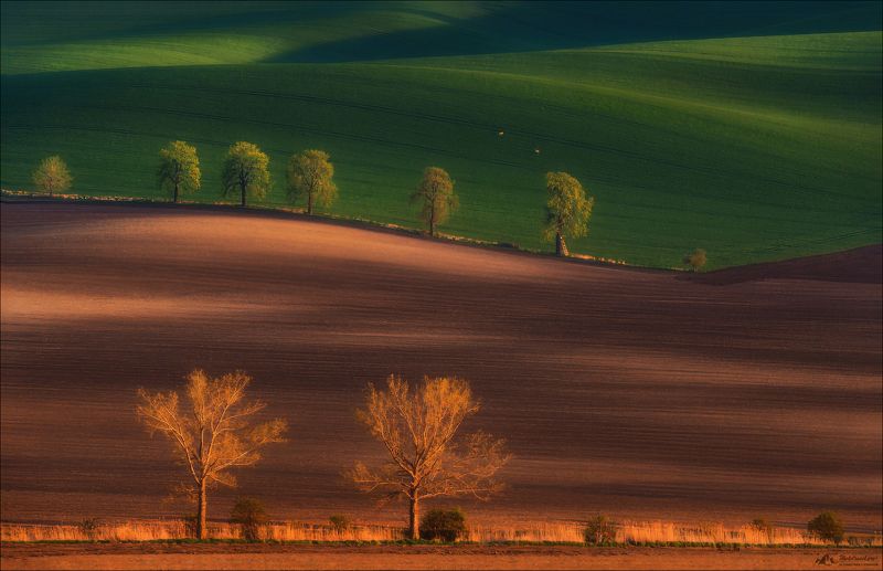 чехия, южная моравия, линии, свет, czech, south moravia, фототур, фототуры Грани цвета фото превью