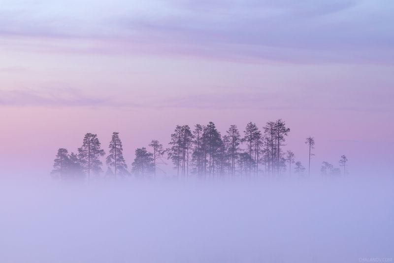 пейзаж, рассвет, озеро, туман, облака Мираж фото превью