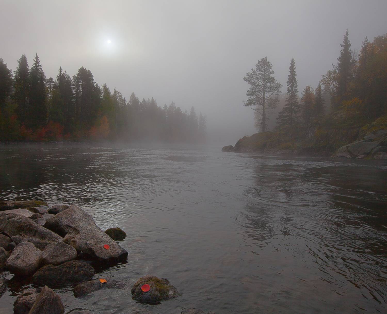 карелия, нац.парк паанаярви, река оланга, осень, туман., Сергей Захаров.