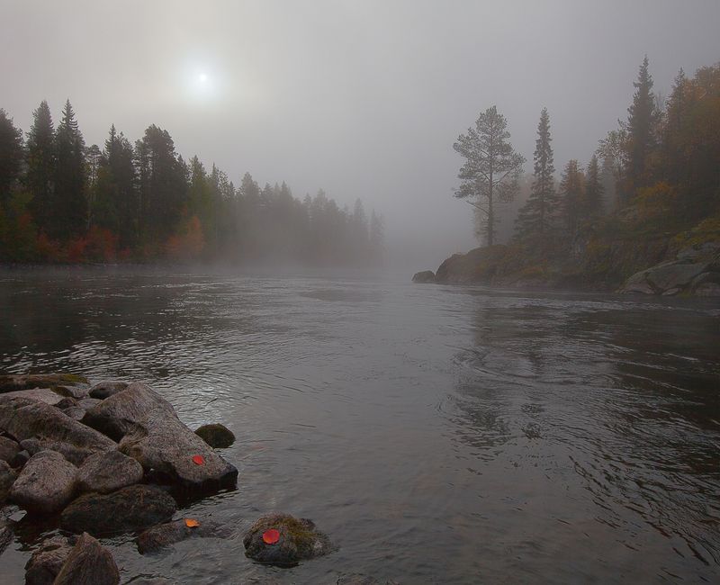 карелия, нац.парк паанаярви, река оланга, осень, туман. Осени туманное течение (2) фото превью
