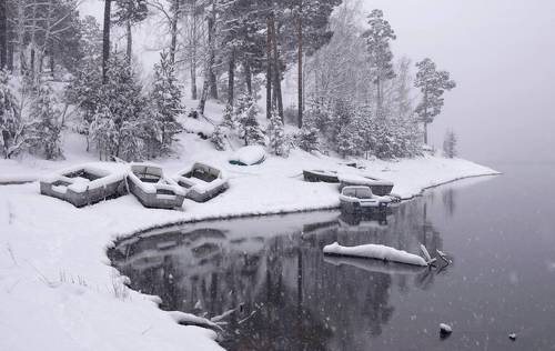 Зимняя тишина