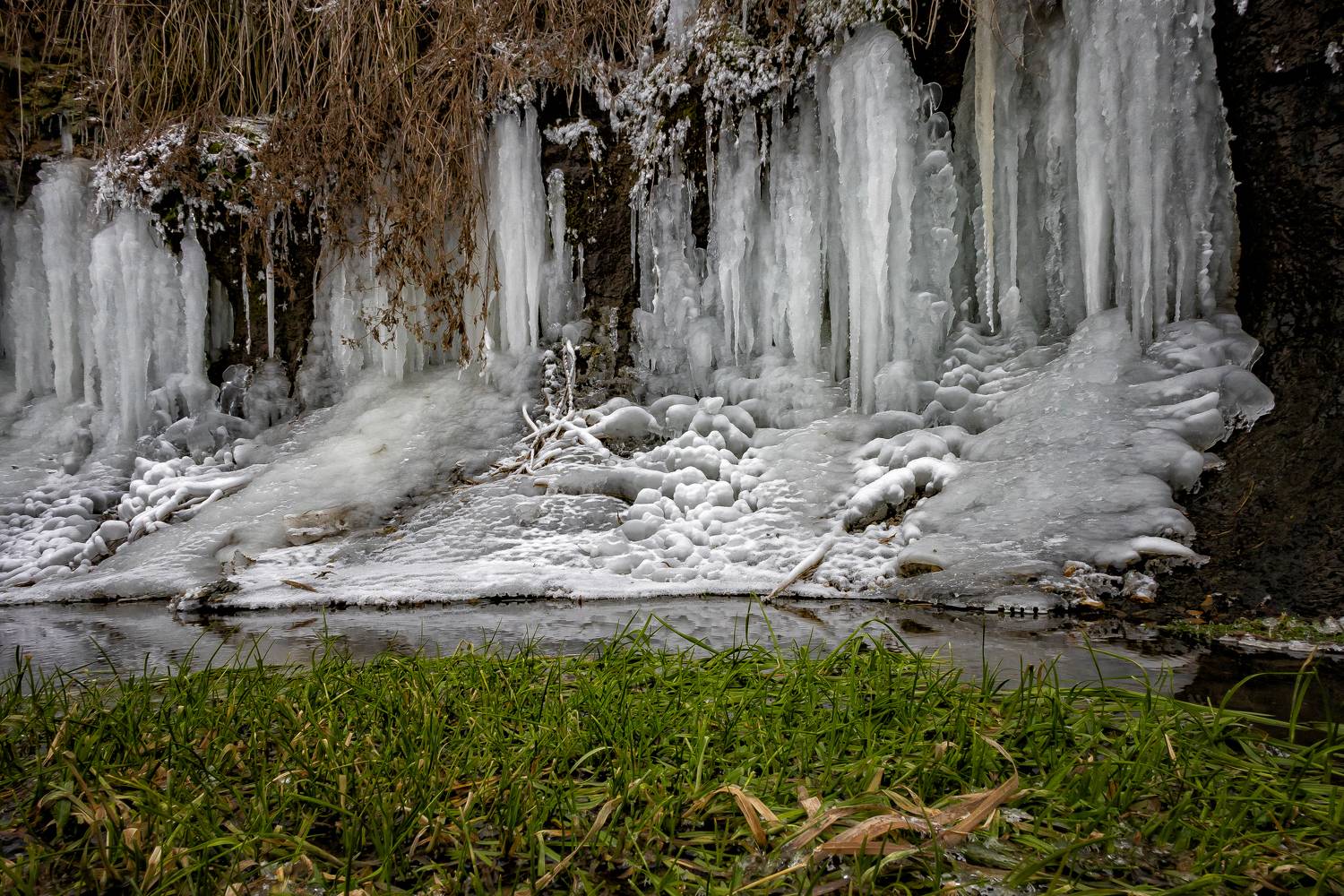 , Подосинников Максим