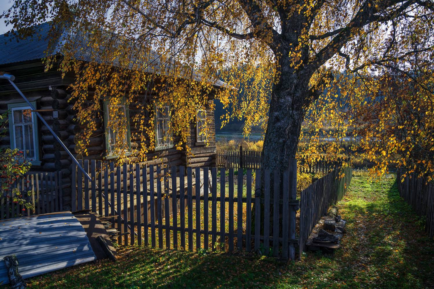 кын, кын-завод, пермский край, урал, Олег Зверев