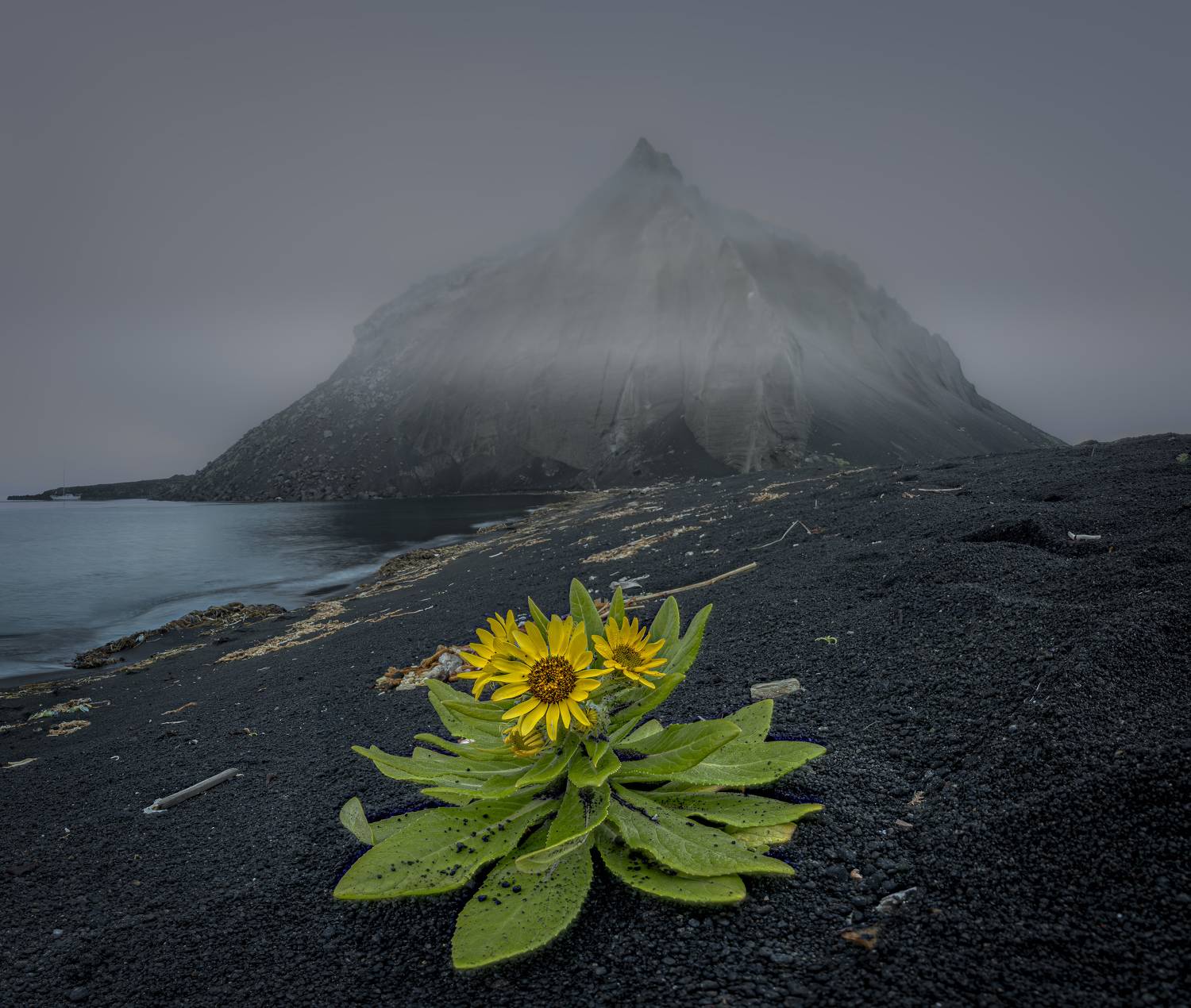 , Лаврентьев Александр