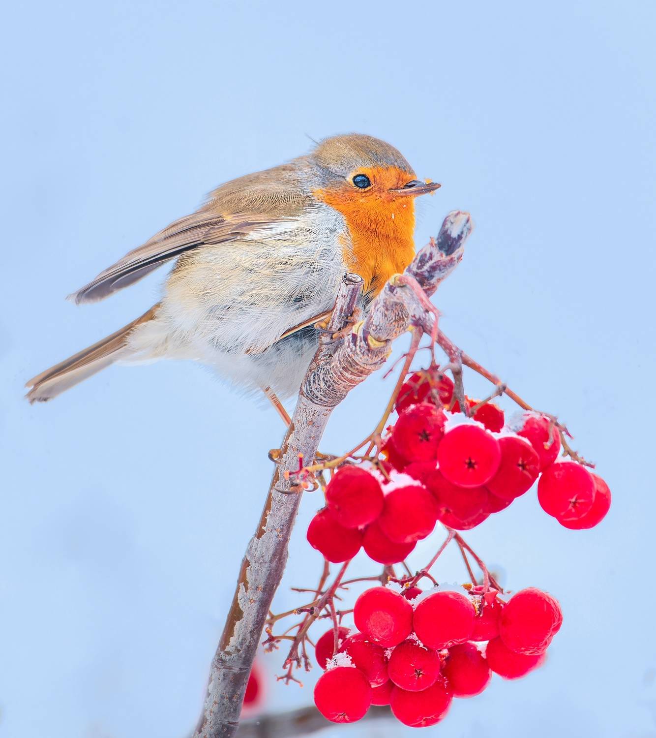 , Фото Александр