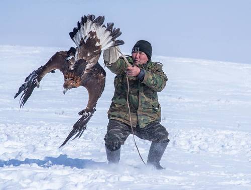 Хочу на волю