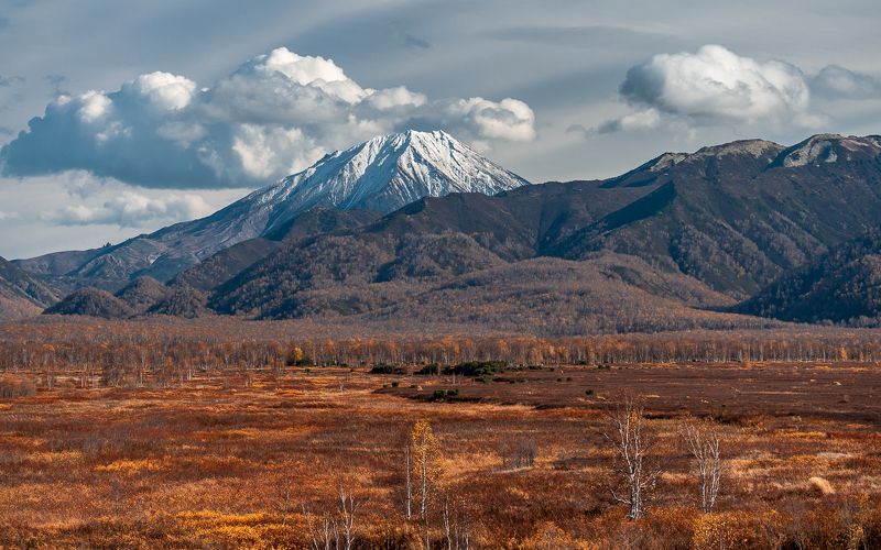 камчатский край  ганальская тундра  осень  фото превью