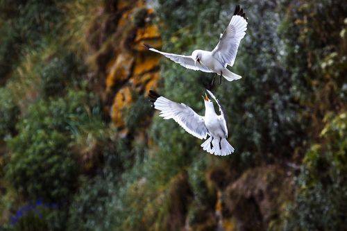 Атака сверху