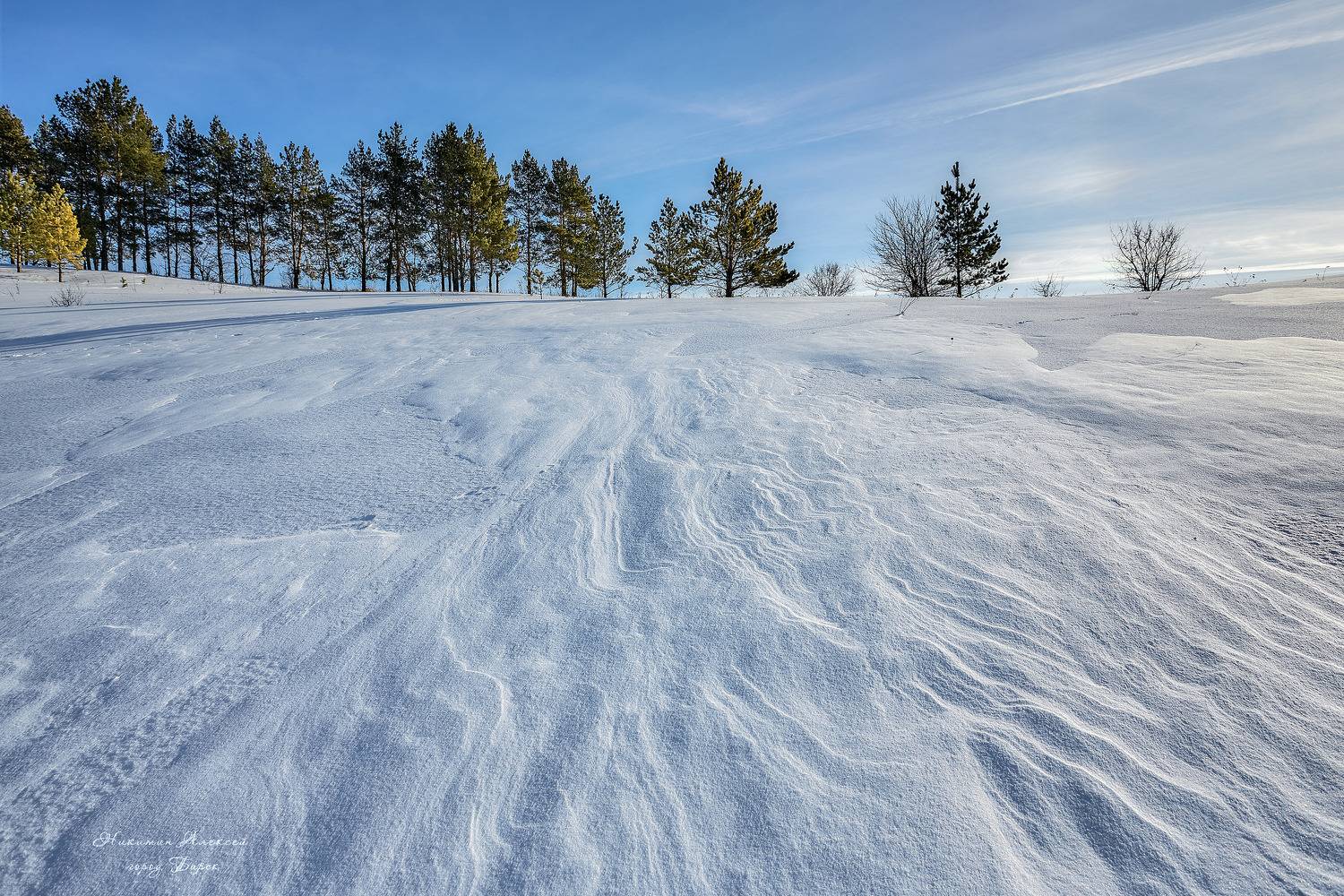 , Никитин Алексей