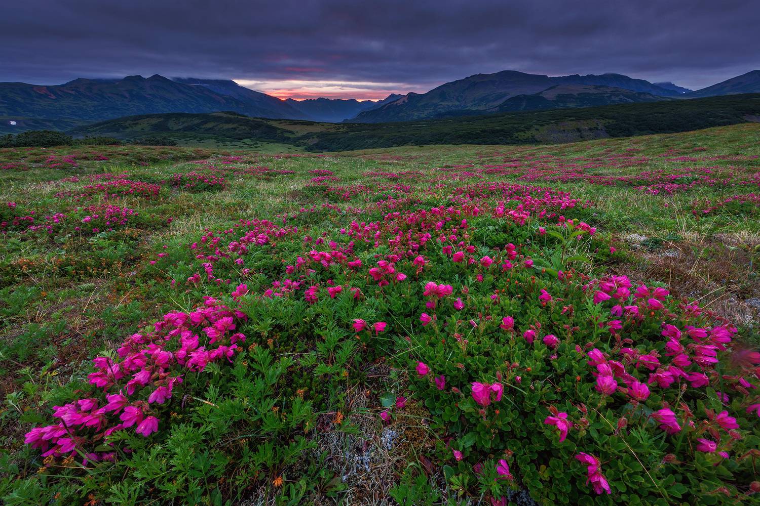 , Морозов Сергей