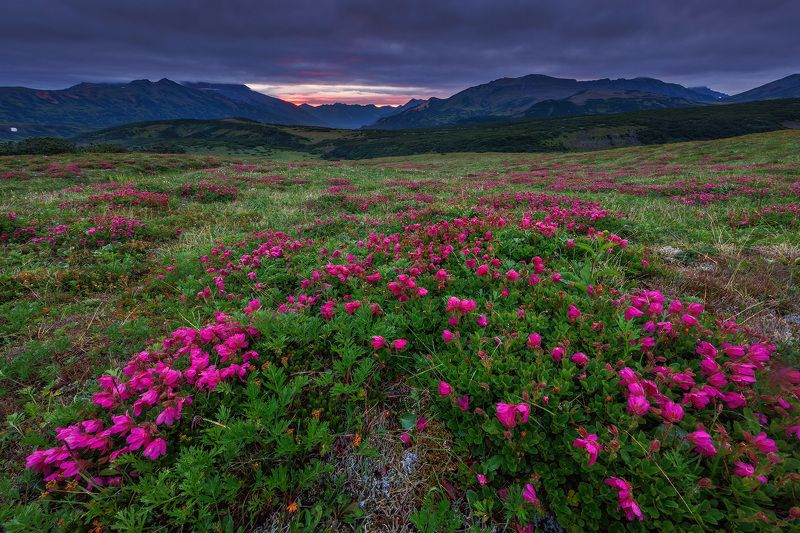 Рассвет на Вилючинском перевале фото превью