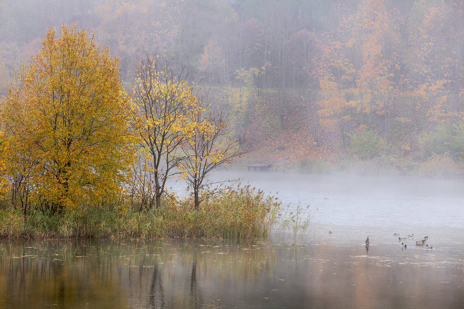 ,  александр михайлов