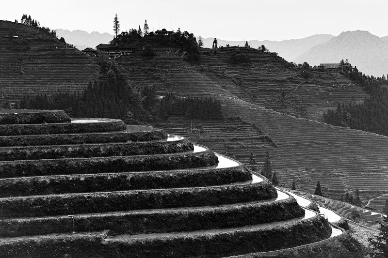 Графика рисовых террас фото превью