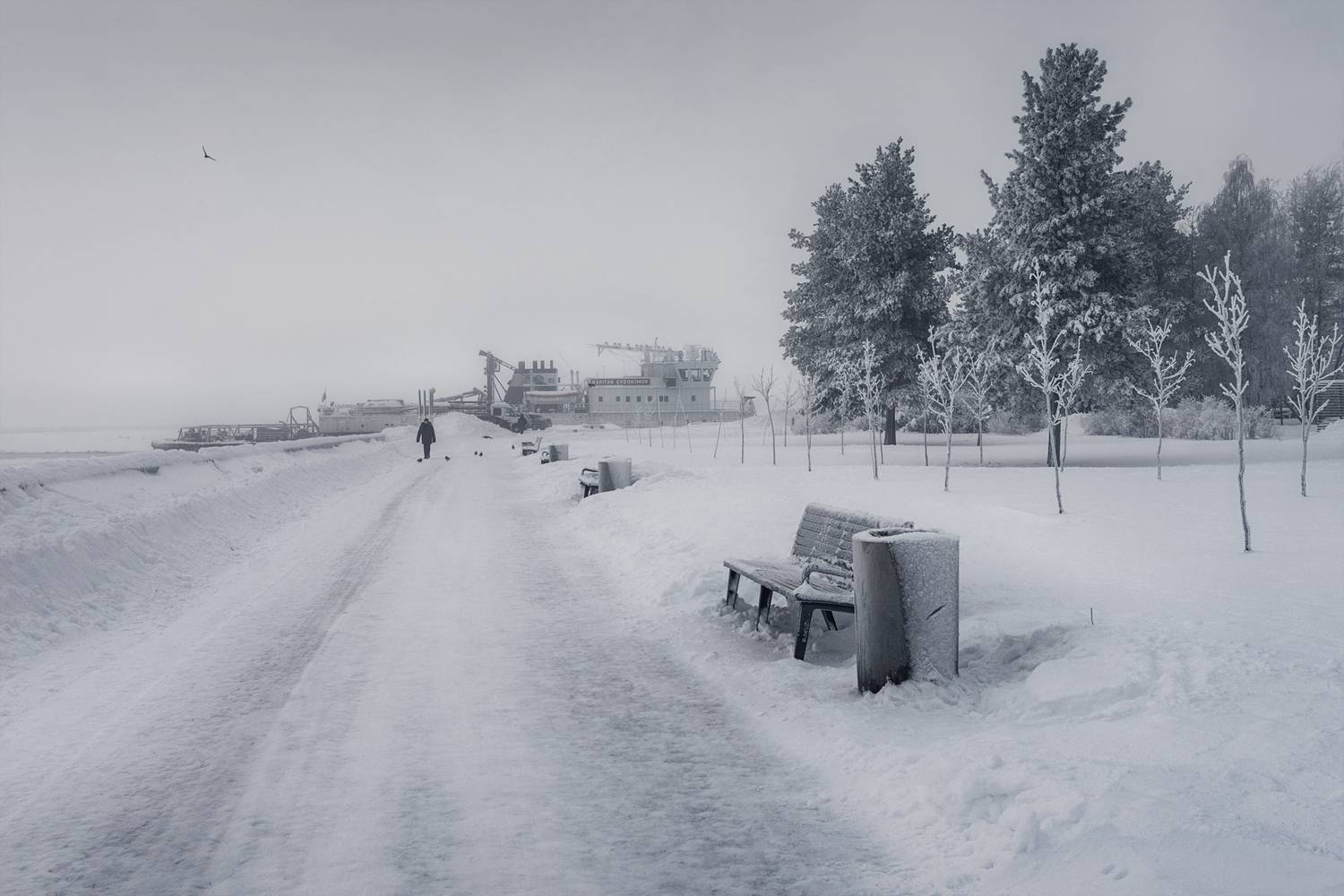 зима январь город набережная дорога снег мороз холод туман деревья сосны иней скамейки, Вера Ра