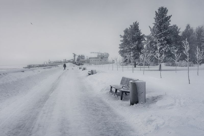 зима январь город набережная дорога снег мороз холод туман деревья сосны иней скамейки Один холодный день зимы фото превью