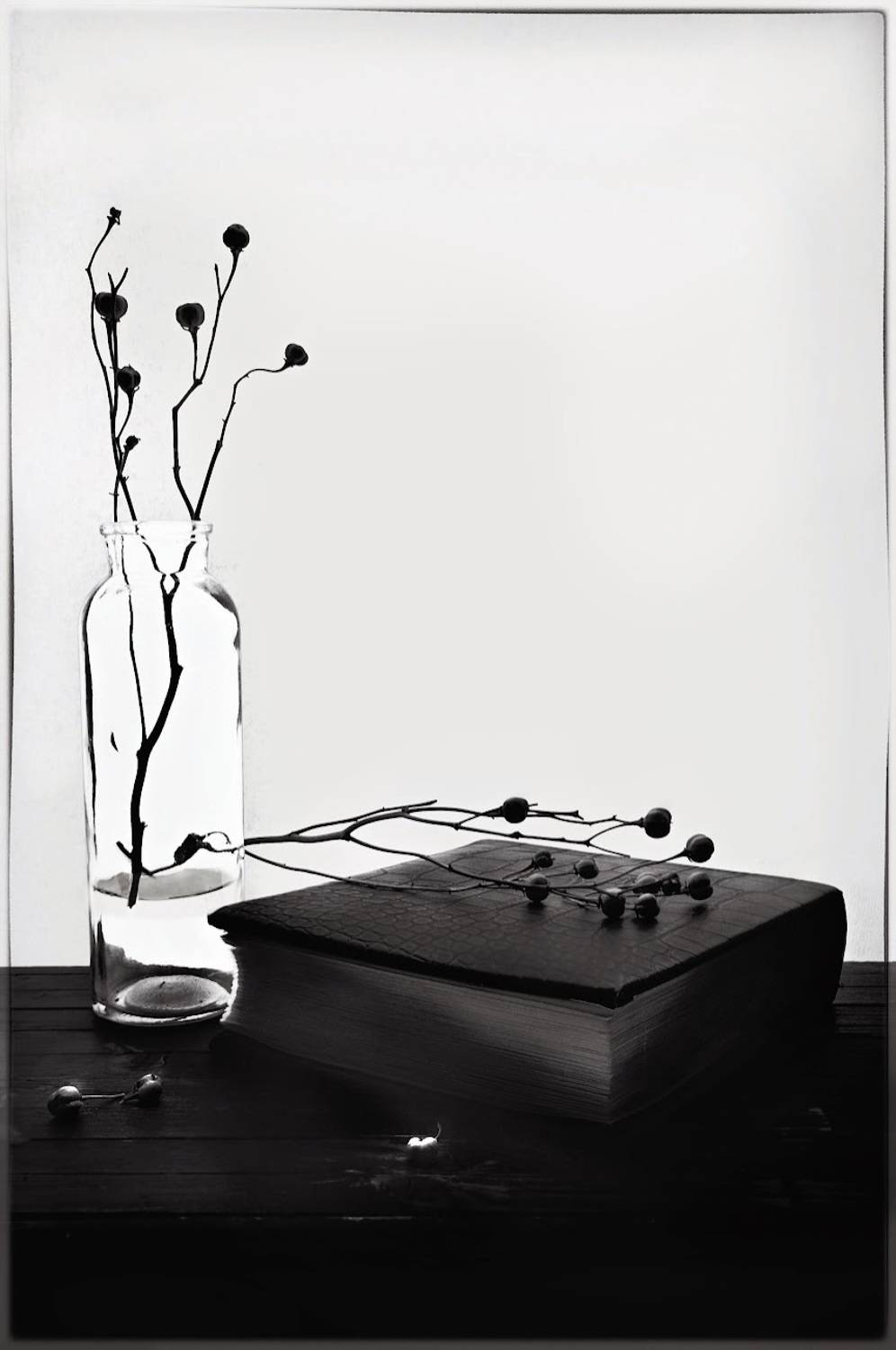 , Ирина Данилова