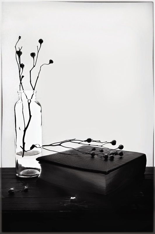 Знать,  жива ещё веточка рода... фото превью